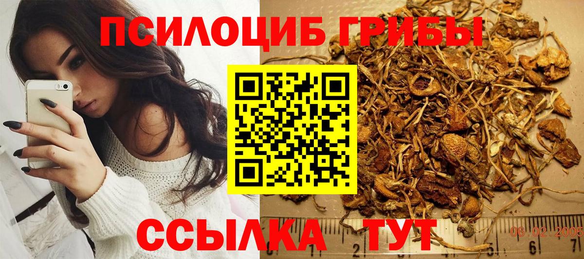 Рязань  Псилоцибиновые грибы Magic Shrooms  Вход с VPN  Псилоцибиновые грибы Psilocybe 
