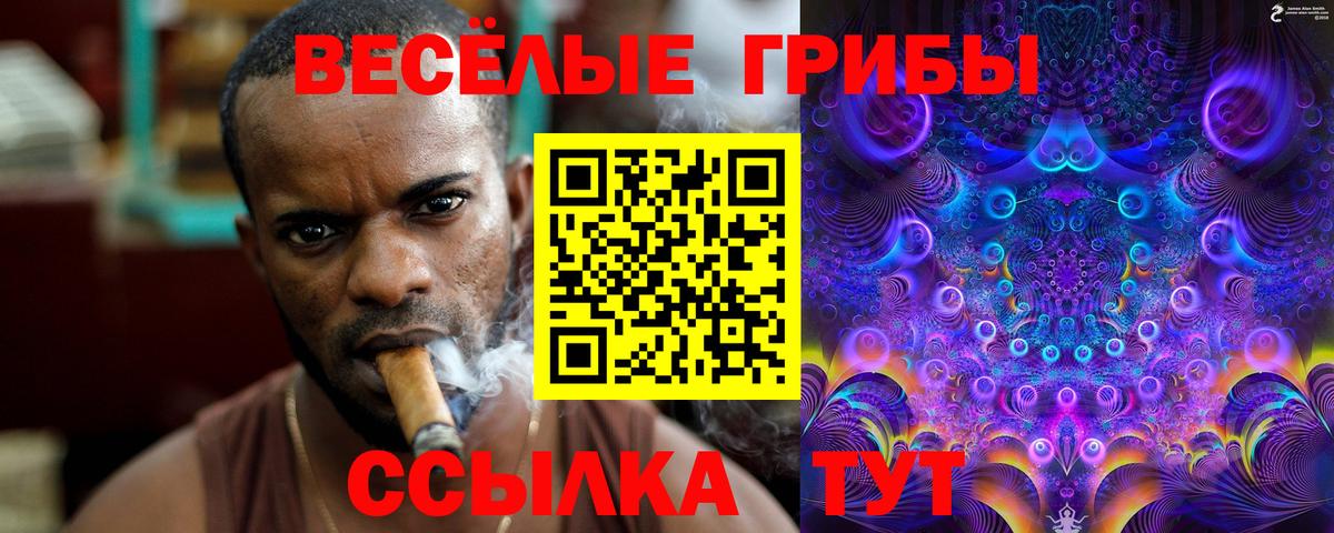 Галлюциногенные грибы GOLDEN TEACHER Рязань